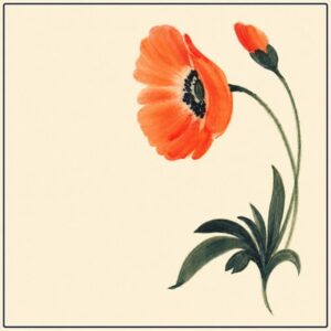 Dekor Mohn
